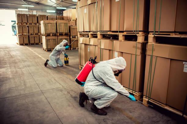 Best Flea Control Services  in Wayne, IL