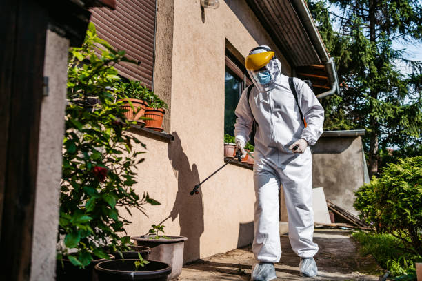 Best Wasp Removal Services  in Wayne, IL