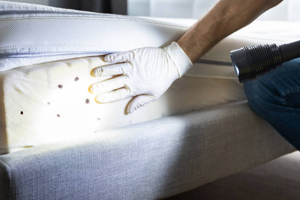 Best Pest Prevention Services  in Wayne, IL
