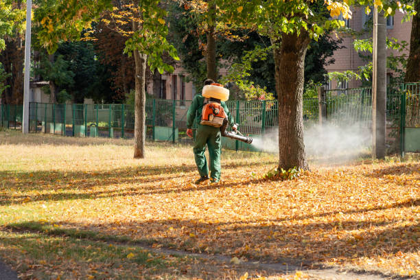 Best Bed Bug Extermination  in Wayne, IL