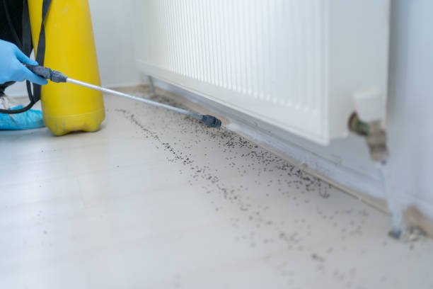 Professional Pest Control in Wayne, IL