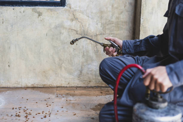 Best Affordable Pest Control Services  in Wayne, IL